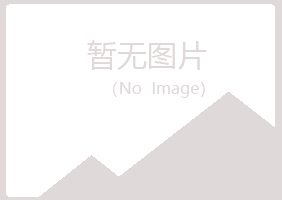 包头青山南蕾会计有限公司